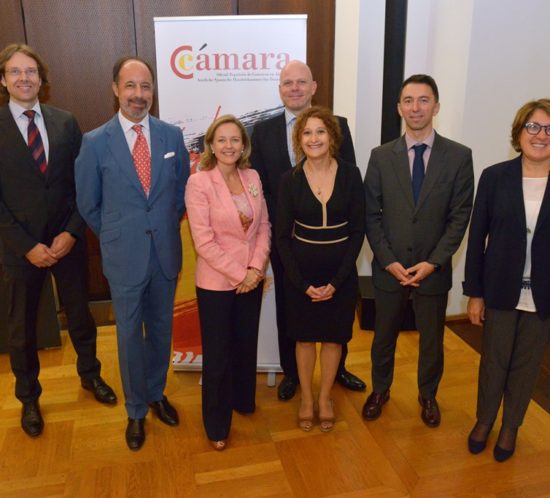 Niko Dietrich, Juan José de Vicente Caballero, Nadia Calviño, Matthias Bergmeier, Consuelo Molino Ortega, José Luis Somoano, Inmaculada Riera