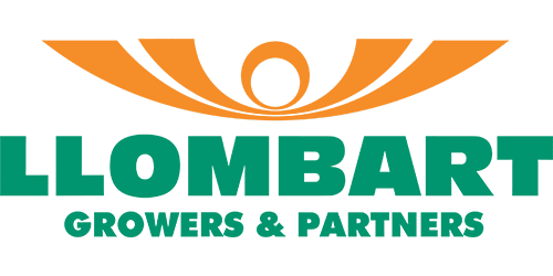 Llombart Handels- u. Treuhand GmbH