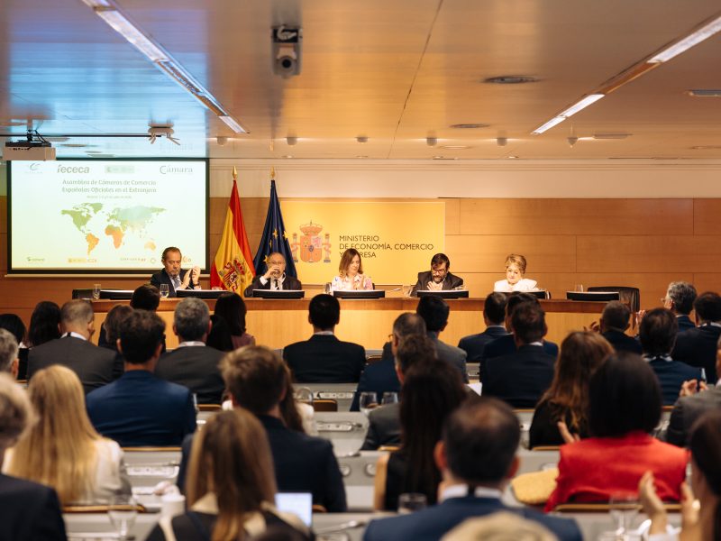 CCE-Asamblea-Madrid-2026-129