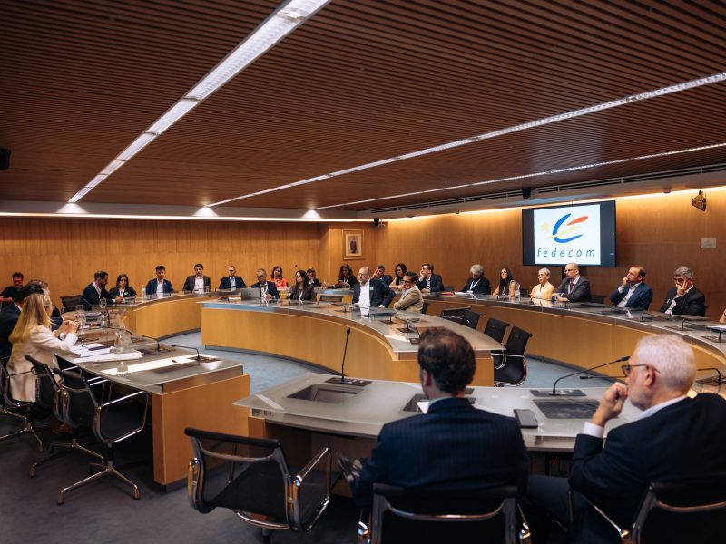 CCE-Asamblea-Madrid-2026-563