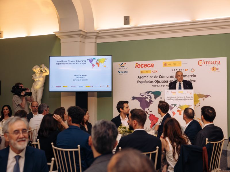 CCE-Asamblea-Madrid-2026-829